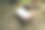 混凝土椅子中间的阴凉花园照片图片下载