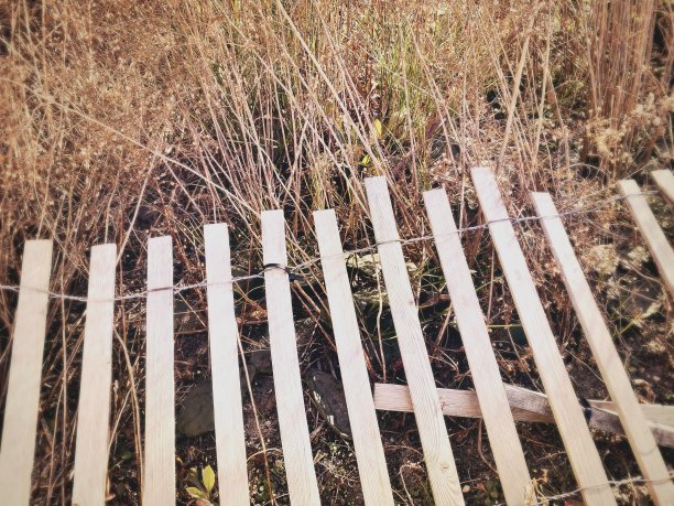 雪栅栏铺设在干刷图片下载