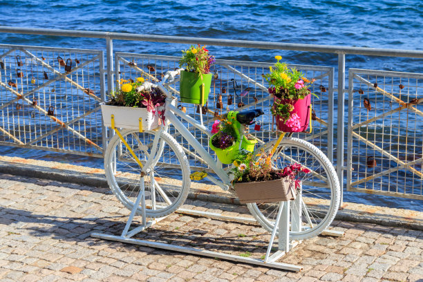 装饰自行车形状站植物和花的堤岸上的一个海图片下载