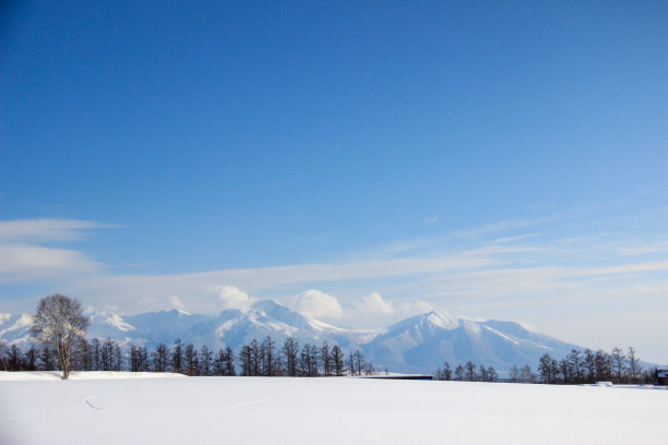 雪野和蓝天图片下载