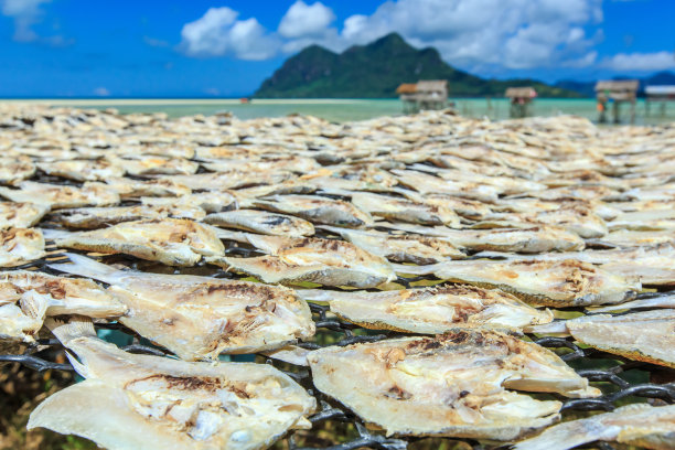 干咸鱼图片下载