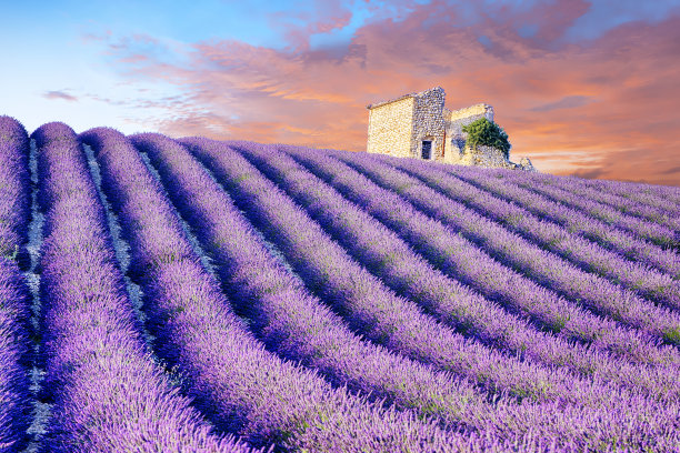 普罗旺斯的日落和山上的房子废墟图片下载