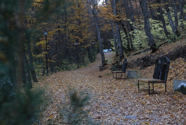 公园里的秋天。图片下载