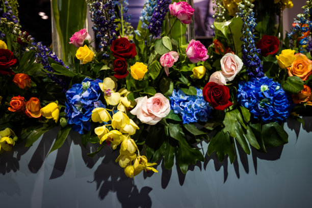 花的背景图片下载