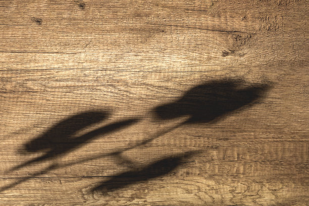 兰花花阴影在棕色纹理的木制背景图片下载