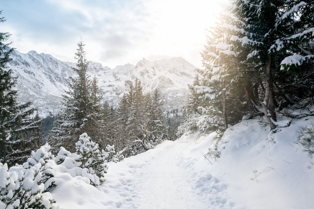 在扎科帕内，沿着冬天通往海眼的道路可以看到附近的山脉图片下载