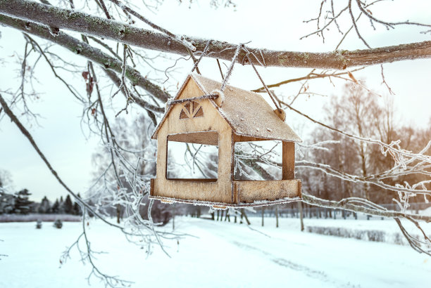 冬天的森林里，木制的喂鸟器挂在结冰的树枝上图片下载