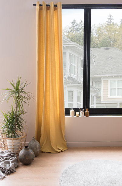 家庭室内客厅与植物木窗图片下载