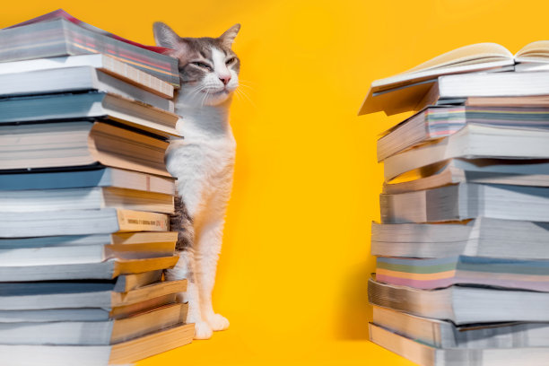 那只猫在一堆书后面伸懒腰。橙色背景图片下载