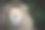 狮子王图片下载