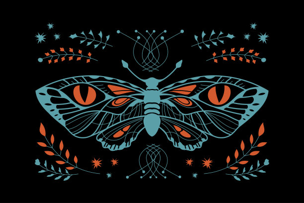 等密猫头鹰蝴蝶热带昆虫概念适合装饰和背景图片下载