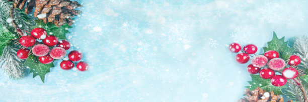用浆果和球果装饰的圣诞节装饰品。前视图。副本的空间。图片下载