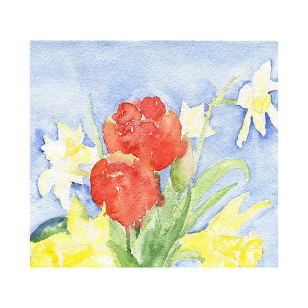 一束在水平框架中的春天的花。水彩画红色郁金香，黄色和白色水仙花手绘插图。适合卡片，明信片，封面，装饰，春天设计。图片下载