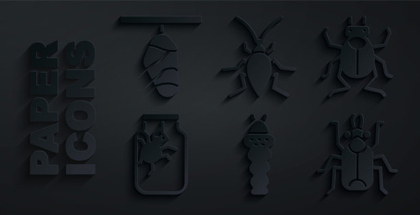 设置幼虫昆虫，甲虫虫，蜘蛛罐，蟑螂和蝴蝶茧图标。向量图片下载