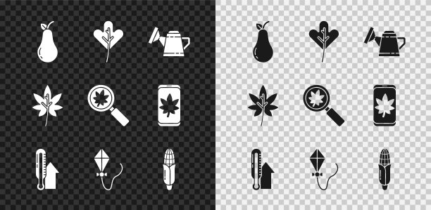 设置梨，叶子或叶子，喷壶，气象温度计，风筝，玉米，和放大镜与叶子图标。向量图片下载