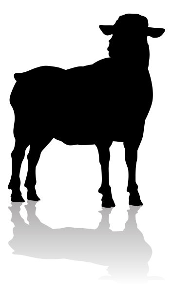 绵羊或羔羊农场动物剪影图片下载