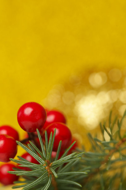 红色浆果抽象节日散焦模糊背景。圣诞节，寒假，新年概念。图片下载