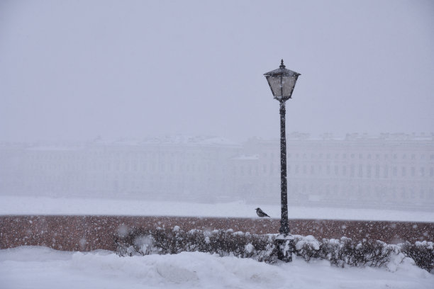 这个城市下了大雪。图片下载