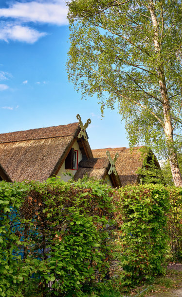 屋前花园篱笆后面的茅草屋顶的房子。图片下载