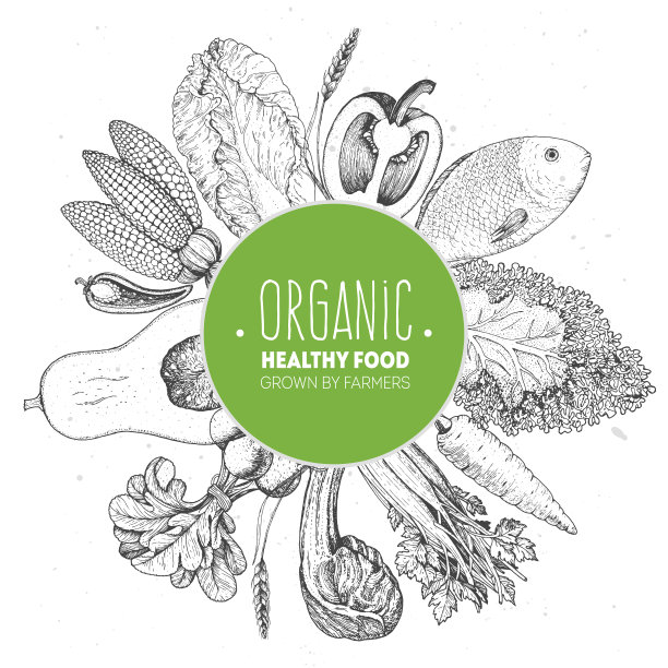 健康有机食品矢量插图。农场市场标签。雕刻风格。蔬菜和肉手工绘制。图片下载