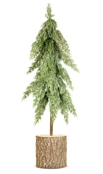 一个装饰树图片下载