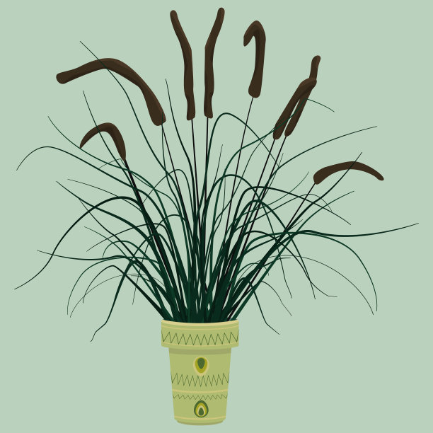 一个花盆的矢量图像，绿色色调的干花图片下载