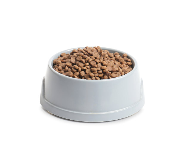 干狗粮在碗孤立的白色图片下载