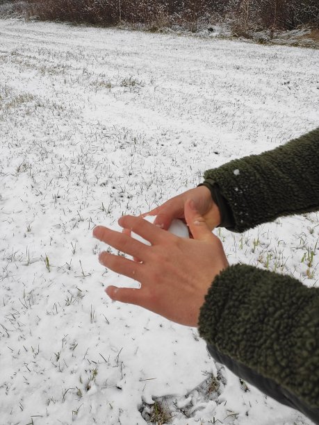 打雪仗图片下载