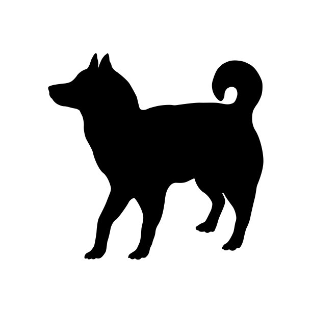 站着的西伯利亚哈士奇小狗。黑狗轮廓。宠物的动物。被隔离在白色背景下。图片下载