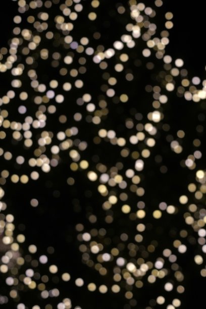 夜晚，户外圣诞树上黄色阴影的散焦圣诞灯。适合圣诞节或季节性背景。垂直的观点。图片下载