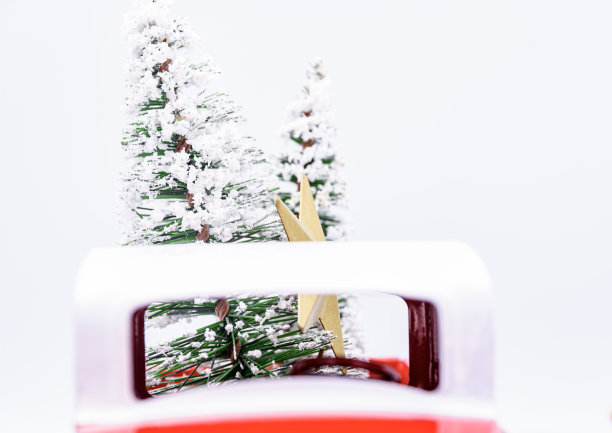 玩具卡车床上的迷你树。图片下载