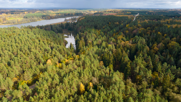 用无人机拍摄的一个小镇或村庄，河流被森林环绕。图片下载