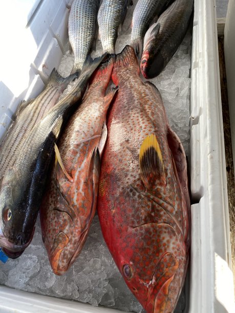 这个当地的海福德市场图片下载