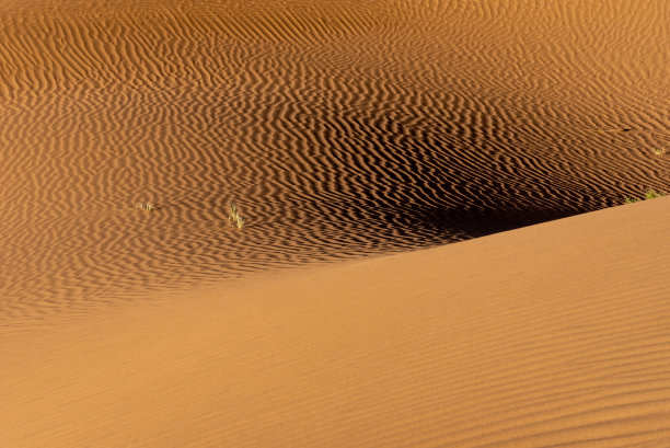 在摩洛哥的撒哈拉沙漠。图片下载