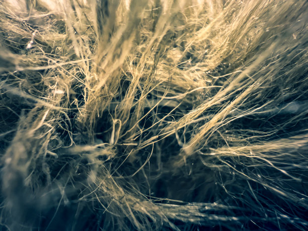 由头发编织的织物制成。图片下载