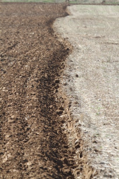 农业用土壤图片下载