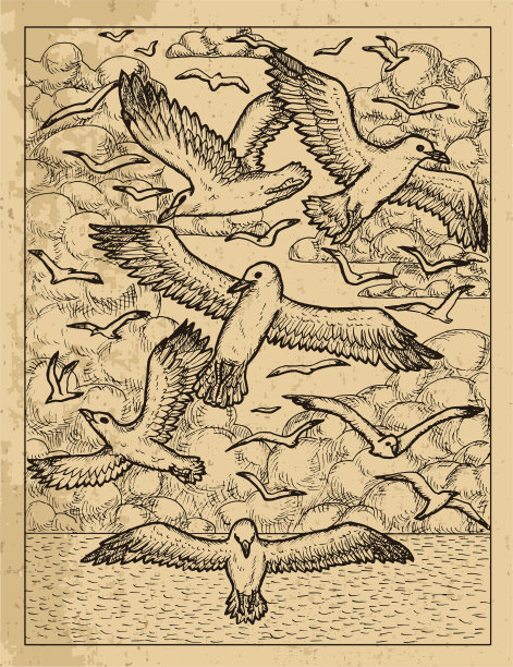 古老的纹理插图的海鸥飞行的背景，海和天空与云。图片下载