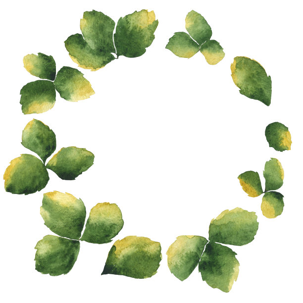 水彩花环与绿色的叶子。草轮框架。副本的空间。手绘插图孤立的白色背景。花卉元素横幅，贺卡，标签。图片下载