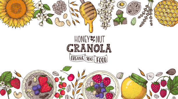 燕麦成分说明。燕麦片，浆果，水果和坚果手工绘制。格兰诺拉早餐顶视图框架。什锦麦片菜单设计。手绘矢量插图。格兰诺拉麦片五颜六色的设计图片下载