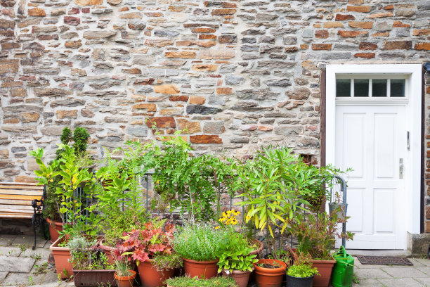 在后院的花盆里收集植物图片下载