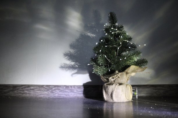 圣诞树图片下载