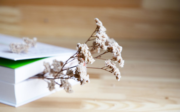 一本书和白色背景上的一束黄色蒲公英。一个长着蒲公英的玻璃花瓶。静物与野花。温暖的基调。光影游戏。早上好。夏花图片下载