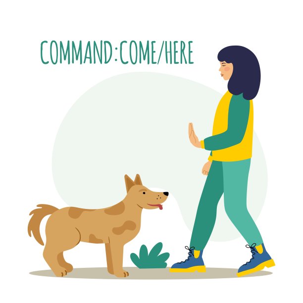 人们训练他们的宠物狗。宠物执行了躺下的命令。训练过程。可编辑矢量图图片下载