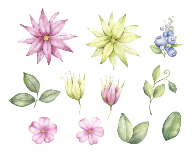 花叶丛中。图片下载