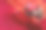 圣诞节静物生活场景。季节性的照片。蜡烛，松果，圣诞球编织红色的背景。红色背景。图片下载