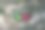 树皮上的两颗近距离心脏。图片下载