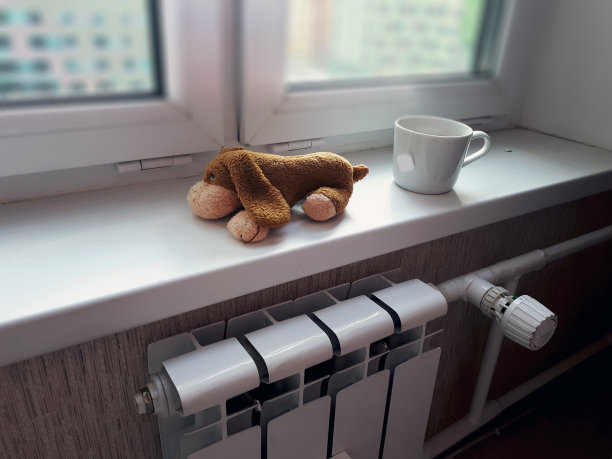 水暖散热器，上面有一只填充狗，窗边有一杯茶图片下载