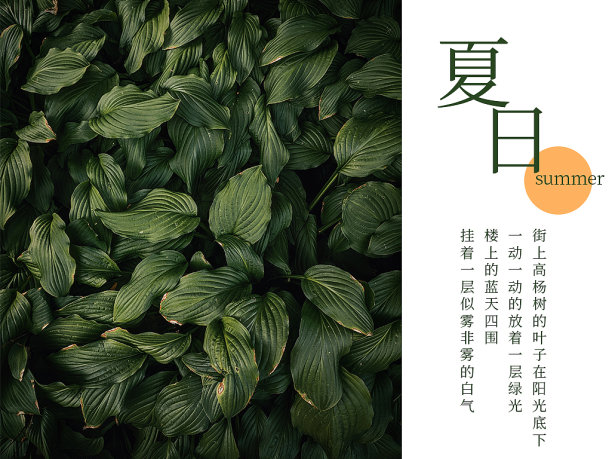 插画简约创意夏季促销公众号封面图片下载