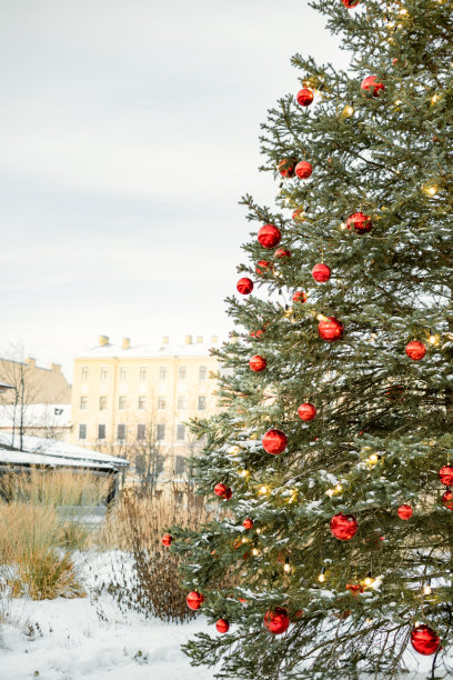 在蓝天的映衬下，用红色的大球装饰圣诞树。现代城市圣诞概念。图片下载