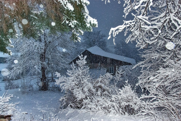 第一个冬天降雪图片下载